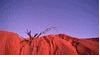 Australian pics