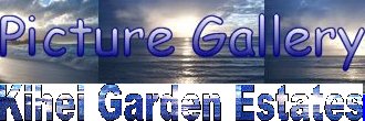Kihei Garden Estates - A Place in Paradise