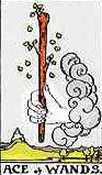 Ace of Wands