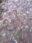 Img_2917.jpg