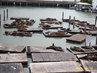 Pier 39
San Francisco