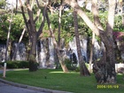 maui 119.jpg