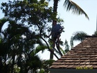 maui 153.jpg