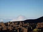 maui 231.jpg