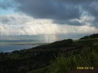 maui 300.jpg