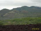 maui 318.jpg