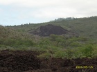 maui 319.jpg