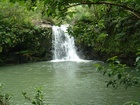 maui 016.jpg
