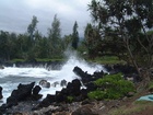 maui 021.jpg