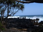 maui 024.jpg