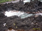 maui 369.jpg