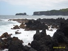 maui 371.jpg