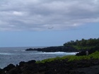 maui 033.jpg