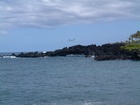 maui 040.jpg