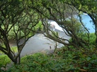 maui 045.jpg