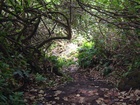 maui 047.jpg