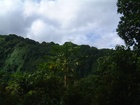 maui 056.jpg