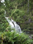 maui 377.jpg