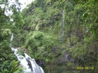 maui 378.jpg
