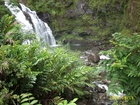 maui 379.jpg