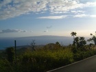 maui 082.jpg
