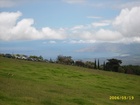 maui 409.jpg