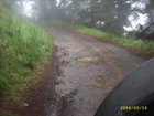 maui 412.jpg
