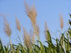 resize46.jpg