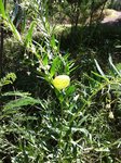 Img_0953.jpg
