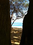 Img_0675.jpg