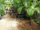 digging8.jpg
