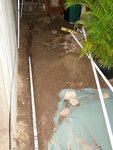 digging10.jpg