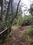 Img_3530.jpg