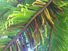 Img_3256.jpg