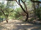 Lanai Island